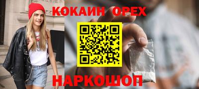 сатива Кандалакша