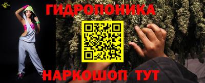 сатива Кандалакша