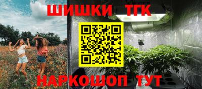 сатива Кандалакша